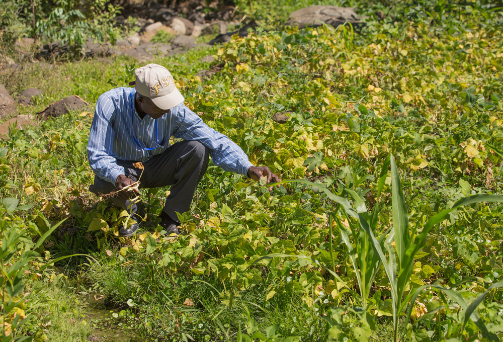 t-Haiti---Agriculture---FEB-2014531