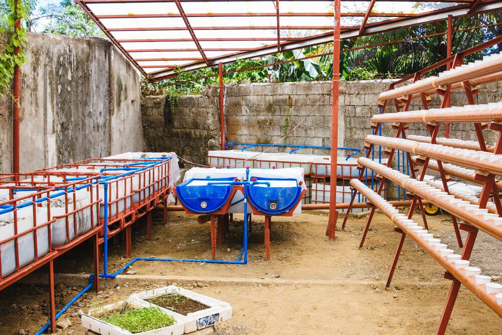 BLOG_FT_Philippines_IMG_2672